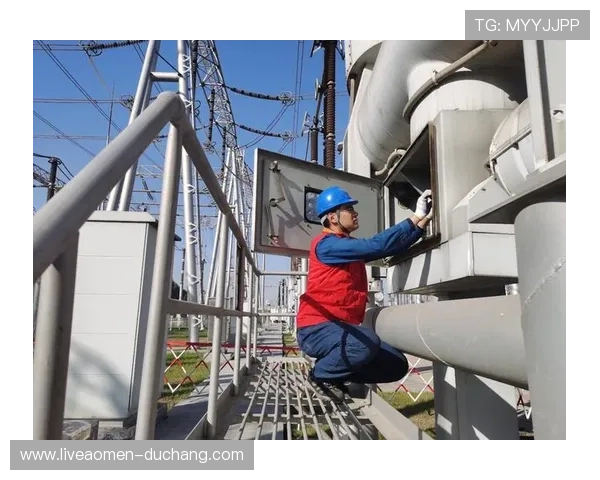 大阳城地址登录入口安全可靠性分析与访问流程详解
